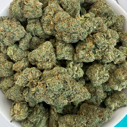 Close-up of henp buds in a white bowl on a white background