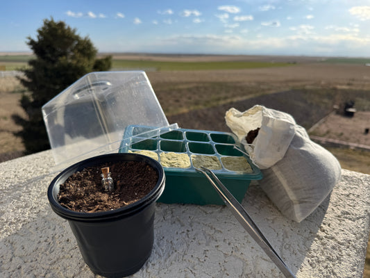 Gardening Kit