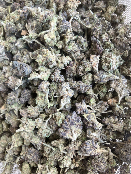Grape Scout
