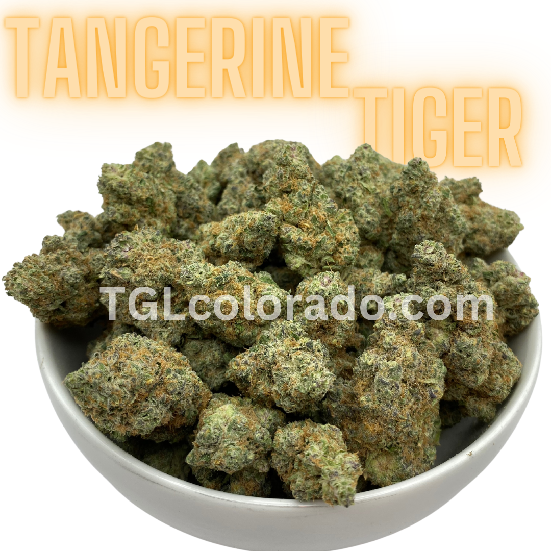 (Premium) Tangerine Tiger