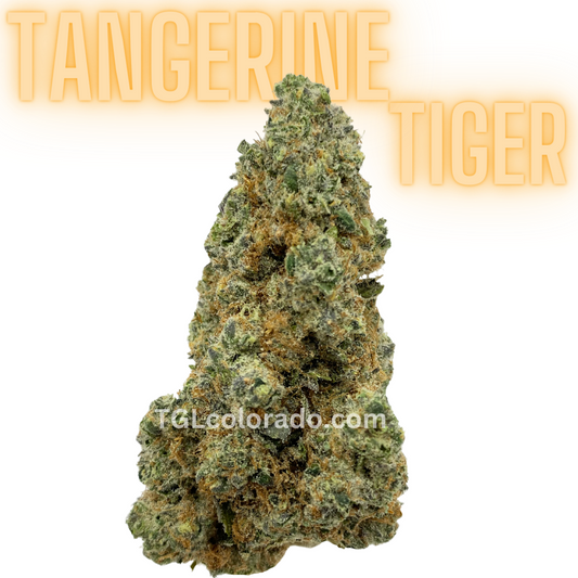 (Super Exotic) Tangerine Tiger